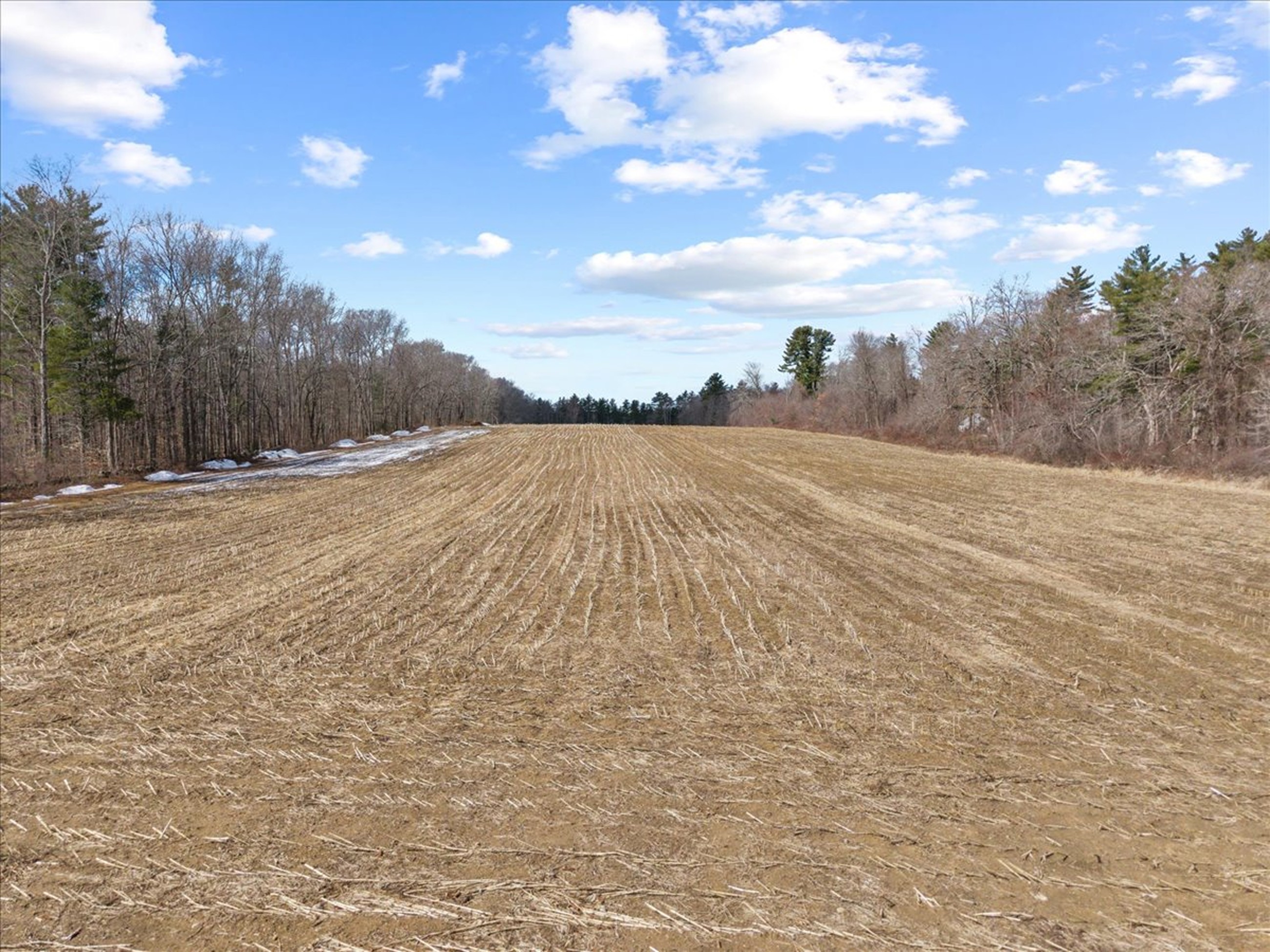 Empty plot of land up for auction
